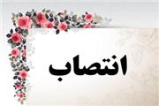مدیرعامل جدید پتروشیمی لرستان انتصاب شد