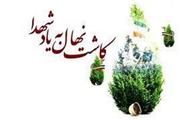 طرح کاشت نهال به یاد شهید فخری‌زاده در خرم‌آباد اجرا شد