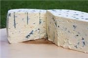 2.5 تن پنیر فاسد در سلسله کشف شد