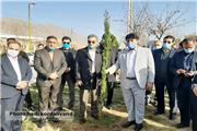 آیین کاشت 7 هزار نهال در خرم‌آباد برگزار شد+تصاویر