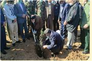کاشت 4 هزار اصله نهال در دانشگاه لرستان