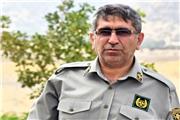 12 لاشه جانوری تاکسیدرمی در خرم‌آباد کشف و ضبط شد