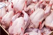 کشف بیش از 700 کیلوگرم مرغ احتکار شده در بروجرد