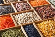 رتبه اول لرستان در تولید حبوبات کشور / صدور 50 واحد بسته بندی حبوبات در استان