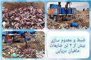ضبط و معدوم سازی بیش از 4 تن ضایعات ماهیان دریایی