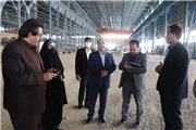 سرمایه گذار جدید در راه مجموعه فولاد ازنا