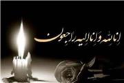 پیام تسلیت جانشین نیروی قدس سپاه به خانواده حاج محمدبردی نشین