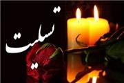 پیام تسلیت مدیر کل حفاظت محیط زیست استان لرستان در پی در گذشت پژوهشگر و تلاشگر عرصه حفاظت از محیط زیست