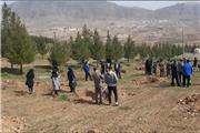 کلیپ تصویری مراسم درختکاری در نهالستان بام لرستان