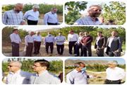 25 درصد گونه‌های گیاهی کشور در لرستان متمرکز هستند