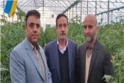 لرستان قطب محصولات گلخانه ای کشور می شود