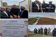 افتتاح 41 گلخانه در الیگودرز توسط ستاد اجرایی فرمان حضرت امام (ره) لرستان