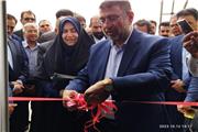 هدف تولید کننده باید حضور در بازار های جهانی و بین المللی باشد