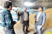 21 واحد کارخانه خوراک دام، طیور و آبزیان در استان فعال هستند