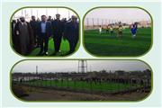 چمن مصنوعی مینی فوتبال روستای دهنو دورود افتتاح شد