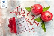 ارائه بسته‌های ویژه اینترنت مخابرات به مناسبت شب یلدا