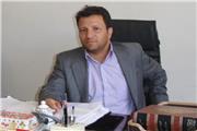 صادرات 671 تن فرآورده‌های طیور و آبزیان از لرستان