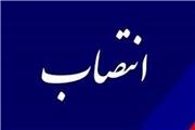 سرپرست معاونت درمان دانشگاه علوم پزشکی لرستان منصوب شد