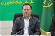 کاشت 500 هکتار از مزارع نخود دلفان به‌صورت مکانیزه
