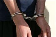 کشف 16 فقره سرقت در بروجرد