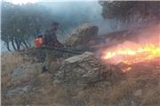 آتش سودجویی سوداگران در جنگل‌های چگنی پس از 3 روز مهار شد