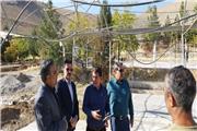 لزوم تکمیل سریع نهالستان بام خرم‌آباد و افزایش تولید نهال