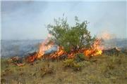 عامل آتش‌سوزی در تالاب بیشه‌دالان بروجرد دستگیر شد