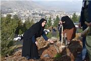 کاشت 5 هزار نهال بومی در پویش نهالکاری به مناسبت میلاد حضرت فاطمه زهرا(س)
