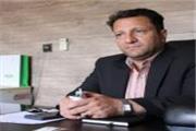 آغاز طرح واکسیناسیون رایگان لمپی اسکین در جمعیت دام سنگین استان لرستان