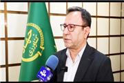 عملیاتی شدن 98 درصد طرح پایداری تولید در دیم‌زارهای لرستان