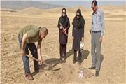 تداوم طرح ملی کشاورزی حفاظتی در لرستان؛ کشت گندم در دو قطعه مقایسه‌ای