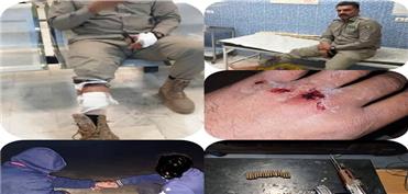 محیط‌بان لرستانی در شلیک شکارچیان غیرمجاز مصدوم شد