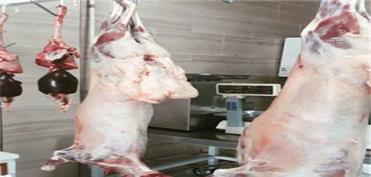 معدوم‌سازی 600 کیلوگرم گوشت قرمز بدون تاریخ در بروجرد