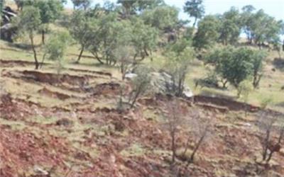 برنامه ریزی برای جلوگیری از زمین لغزش در سطح اراضی جنگلی و مرتعی استان