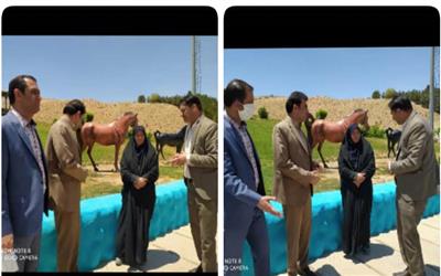 رسانه ها ابزار مهم فرهنگ سازی هستند/ پارک کاسیت دستخوش تغییرات خوب