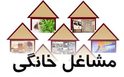 استعداد سنجی 550 متقاضی طرح ملی توسعه مشاغل خانگی در لرستان