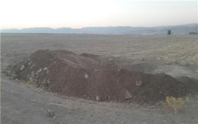 دستگیری 4 حفار غیر مجاز در رومشگان