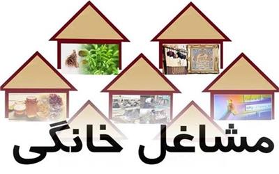 ایجاد 10 شبکه طرح ملی مشاغل خانگی در لرستان