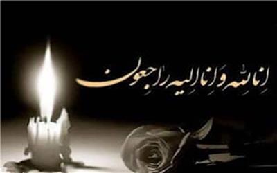 پیام تسلیت جانشین نیروی قدس سپاه به خانواده حاج محمدبردی نشین