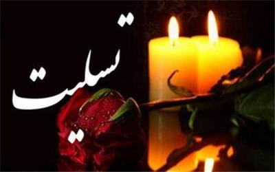 پیام تسلیت مدیر کل حفاظت محیط زیست استان لرستان در پی در گذشت پژوهشگر و تلاشگر عرصه حفاظت از محیط زیست