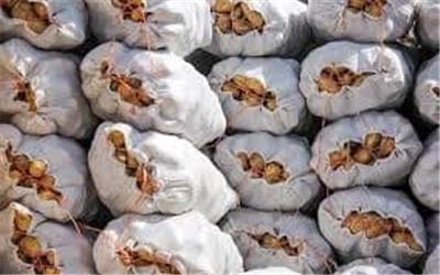 بیش از 10 تن سیب زمینی احتکار شده در دلفان کشف شد