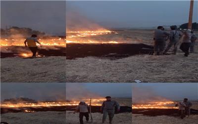 بازداشت متخلفین آتش زدن بقایای گیاهی مزارع کشاورزی در خرم آباد
