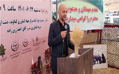 میزان جهش تولید دراراضی دیم استان به 350 هزار هکتار افزایش می یابد