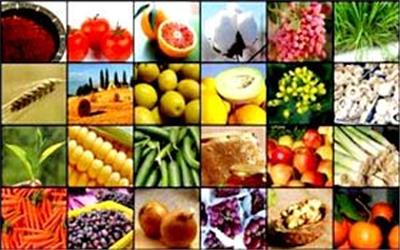 آغاز ریل گذاری زیرساخت های صادرات محصولات کشاورزی و دامی به کشور روسیه