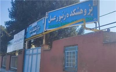 ارتقای آزمایشگاه پژوهشکده زنبور عسل دانشگاه لرستان از «عضو آزمایشی» به «فعال»