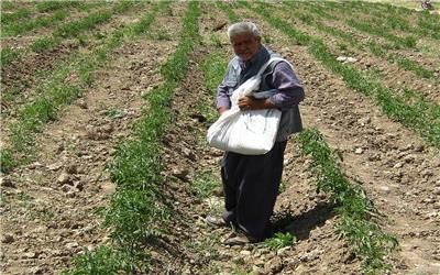 نظارت بر توزیع سموم و کودها در تولید محصولات کشاورزی لرستان