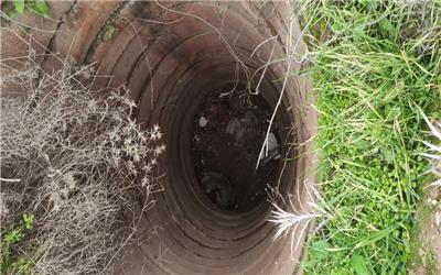 نجات یک قلاده شغال گرفتار در چاه آب کشاورزی در  پلدختر