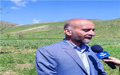 توسعه کشت گیاهان دارویی در لرستان به 12 هزار هکتار