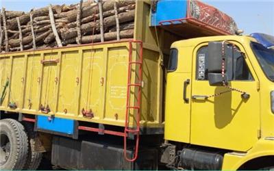 توقیف کامیون حامل بیش 11 تن چوب قاچاق در الیگودرز