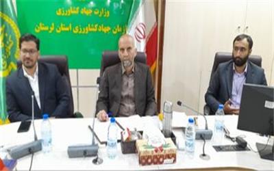 90 درصد تولید مرغداری ها بایستی به کشتارگاهها ارسال شود